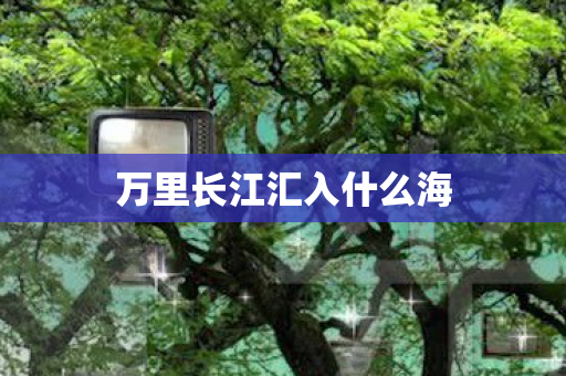 万里长江汇入什么海