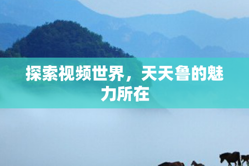 探索视频世界，天天鲁的魅力所在
