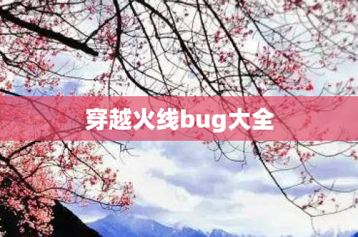 穿越火线bug大全
