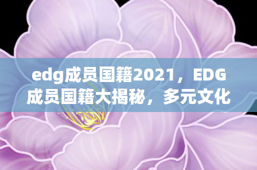 edg成员国籍2021，EDG成员国籍大揭秘，多元文化的电竞之星