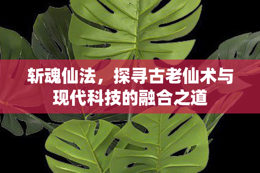 斩魂仙法，探寻古老仙术与现代科技的融合之道