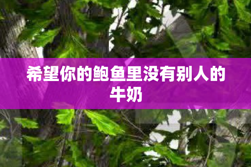 希望你的鲍鱼里没有别人的牛奶
