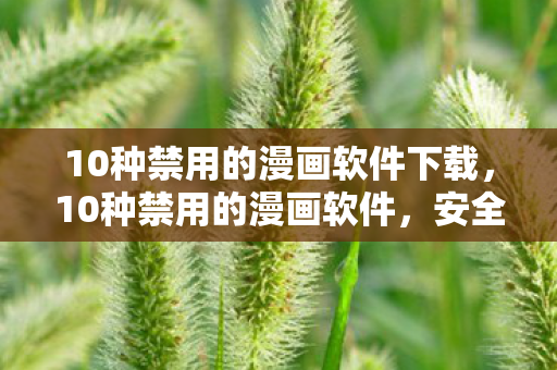 10种禁用的漫画软件下载，10种禁用的漫画软件，安全使用，远离风险