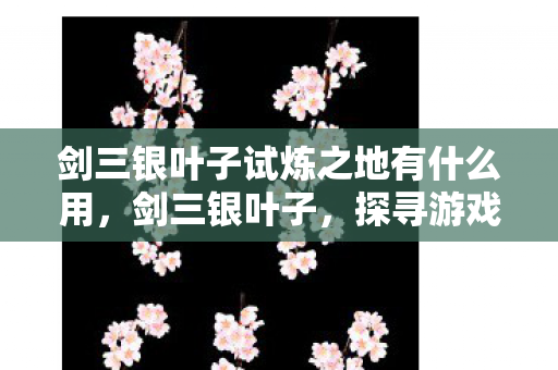 剑三银叶子试炼之地有什么用，剑三银叶子，探寻游戏中的珍贵宝藏