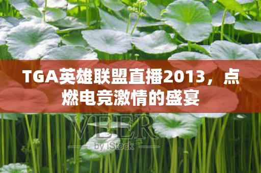 TGA英雄联盟直播2013，点燃电竞激情的盛宴