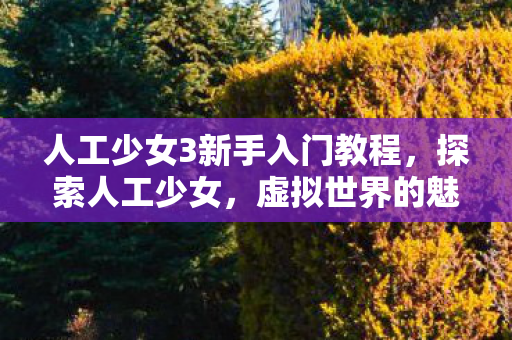 人工少女3新手入门教程，探索人工少女，虚拟世界的魅力与无限可能