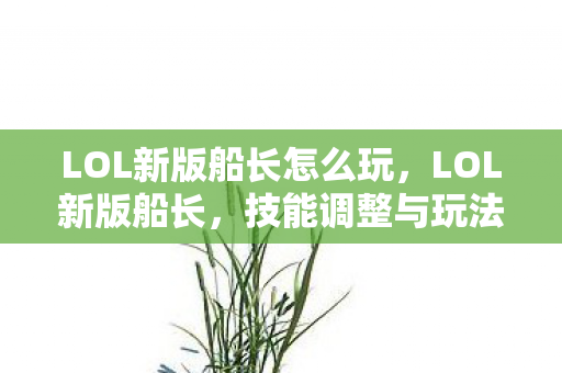 LOL新版船长怎么玩，LOL新版船长，技能调整与玩法解析