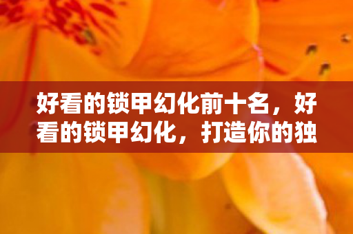 好看的锁甲幻化前十名，好看的锁甲幻化，打造你的独特战斗风格