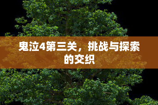 鬼泣4第三关，挑战与探索的交织