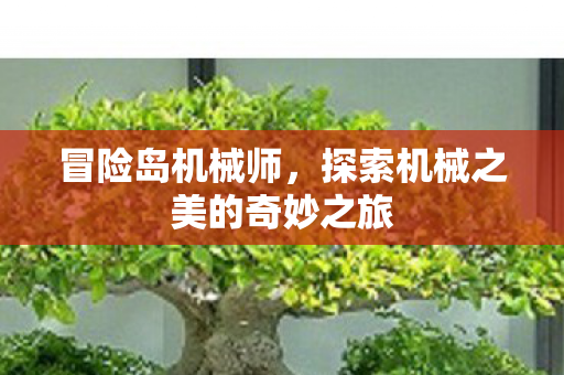 冒险岛机械师，探索机械之美的奇妙之旅