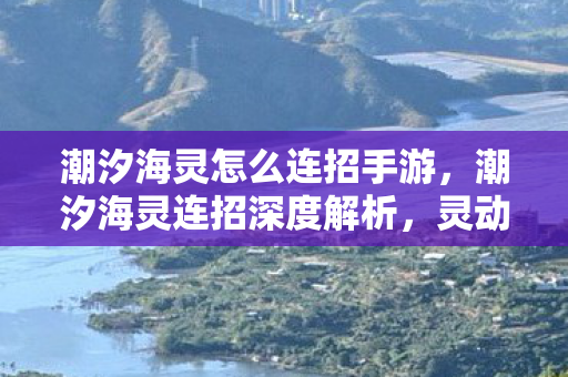 潮汐海灵怎么连招手游，潮汐海灵连招深度解析，灵动如潮，掌控战局