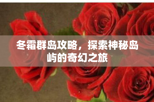冬霜群岛攻略，探索神秘岛屿的奇幻之旅