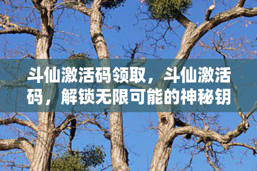 斗仙激活码领取，斗仙激活码，解锁无限可能的神秘钥匙