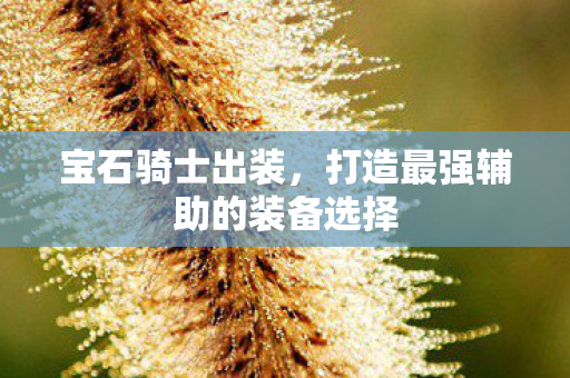 宝石骑士出装，打造最强辅助的装备选择