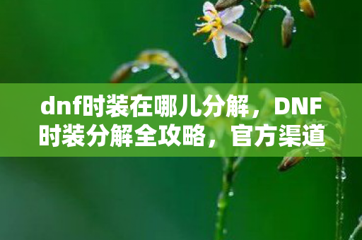 dnf时装在哪儿分解，DNF时装分解全攻略，官方渠道与技巧分享