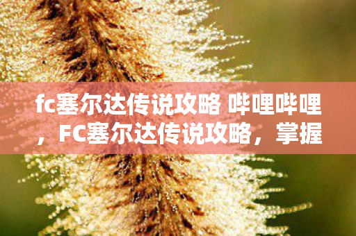 fc塞尔达传说攻略 哔哩哔哩，FC塞尔达传说攻略，掌握经典游戏的精髓