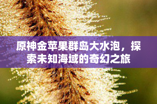 原神金苹果群岛大水泡，探索未知海域的奇幻之旅