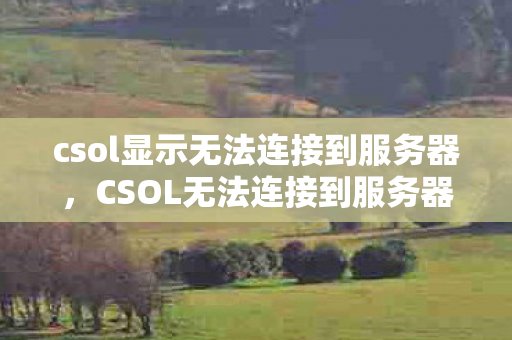 csol显示无法连接到服务器，CSOL无法连接到服务器，深度解析与解决方案