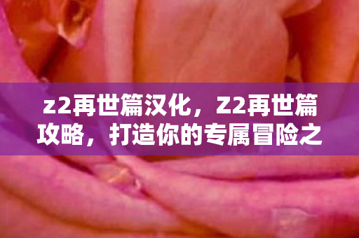 z2再世篇汉化，Z2再世篇攻略，打造你的专属冒险之旅