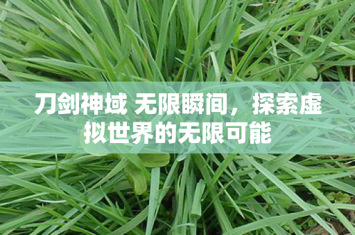 刀剑神域 无限瞬间，探索虚拟世界的无限可能