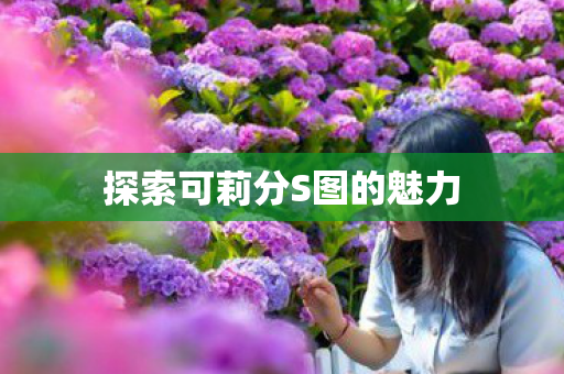 探索可莉分S图的魅力