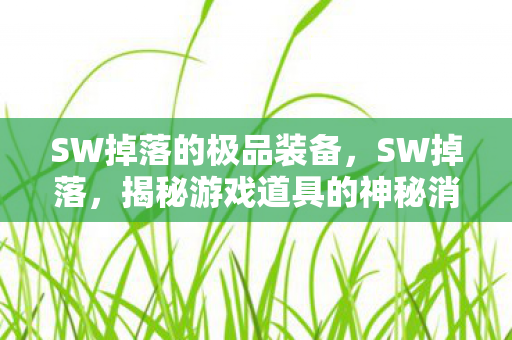 SW掉落的极品装备，SW掉落，揭秘游戏道具的神秘消失之旅