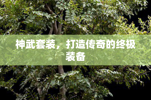 神武套装，打造传奇的终极装备