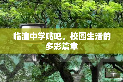 临潼中学贴吧，校园生活的多彩篇章