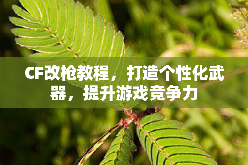 CF改枪教程，打造个性化武器，提升游戏竞争力