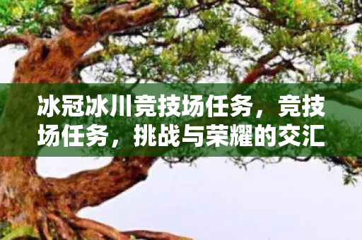 冰冠冰川竞技场任务，竞技场任务，挑战与荣耀的交汇点