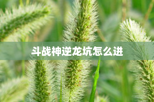 斗战神逆龙坑怎么进