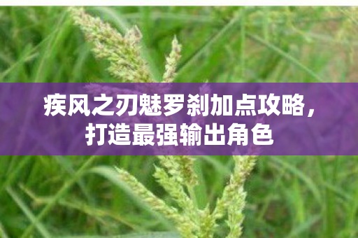 疾风之刃魅罗刹加点攻略，打造最强输出角色