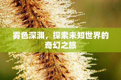 雾色深渊，探索未知世界的奇幻之旅