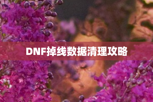 DNF掉线数据清理攻略