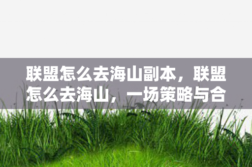 联盟怎么去海山副本，联盟怎么去海山，一场策略与合作的冒险之旅