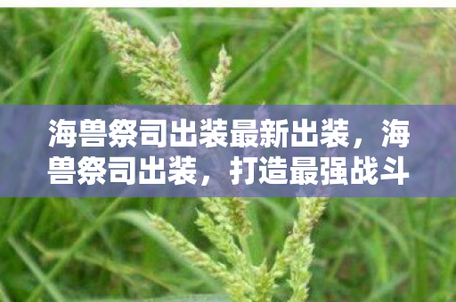 海兽祭司出装最新出装，海兽祭司出装，打造最强战斗力的关键