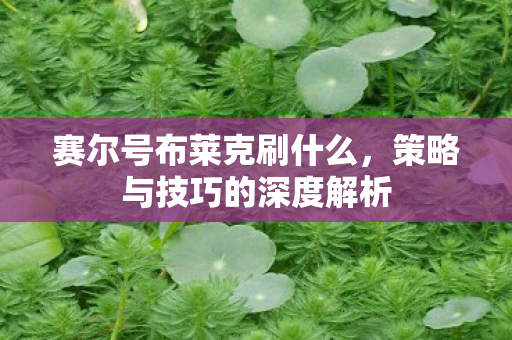 赛尔号布莱克刷什么，策略与技巧的深度解析