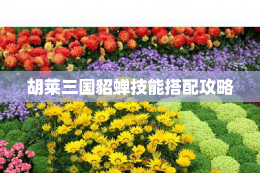 胡莱三国貂蝉技能搭配攻略 胡莱三国貂蝉技能搭配攻略