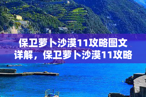 保卫萝卜沙漠11攻略图文详解，保卫萝卜沙漠11攻略，策略与技巧的全面解析