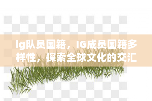 ig队员国籍，IG成员国籍多样性，探索全球文化的交汇点