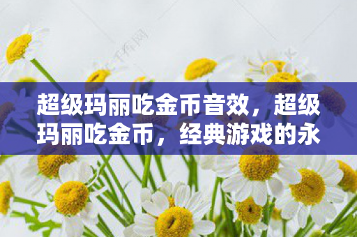 超级玛丽吃金币音效，超级玛丽吃金币，经典游戏的永恒魅力与金币收集的乐趣