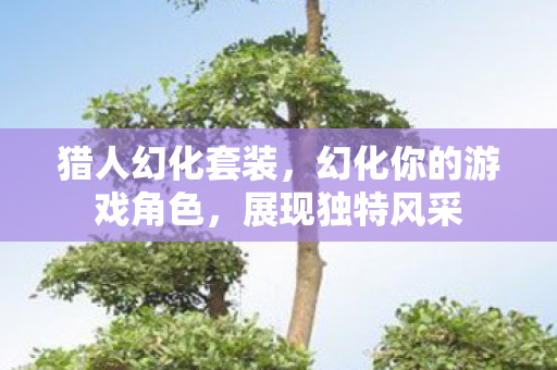 猎人幻化套装，幻化你的游戏角色，展现独特风采