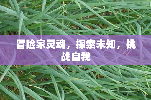 冒险家灵魂，探索未知，挑战自我