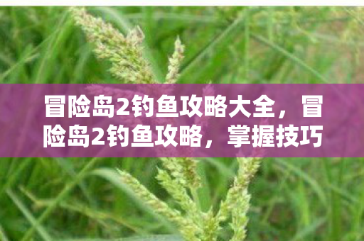 冒险岛2钓鱼攻略大全，冒险岛2钓鱼攻略，掌握技巧，轻松成为钓鱼大师