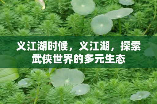 义江湖时候，义江湖，探索武侠世界的多元生态