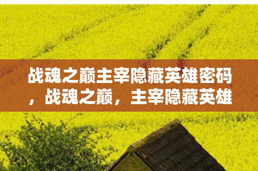 战魂之巅主宰隐藏英雄密码，战魂之巅，主宰隐藏英雄的神秘面纱