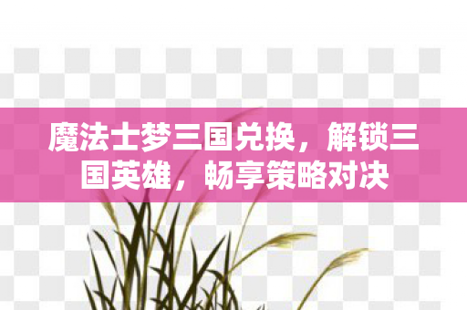 魔法士梦三国兑换，解锁三国英雄，畅享策略对决