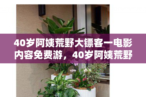 40岁阿姨荒野大镖客一电影内容免费游，40岁阿姨荒野大镖客一，挑战自我，探索未知的勇气之旅
