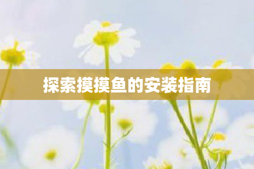 探索摸摸鱼的安装指南