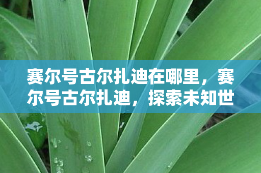 赛尔号古尔扎迪在哪里，赛尔号古尔扎迪，探索未知世界的神秘之旅